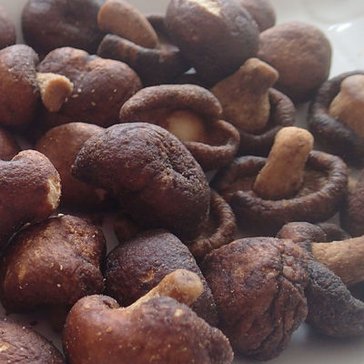 Beli Vacuum Jamur Mini Kering Tidak Menambah Warna Bagi Ibu Hamil Anak online manufacture