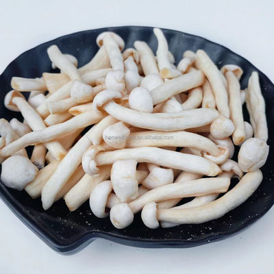 Harga yang bagus Camilan Organik Alami Jamur Beech Putih Sayuran Sehat VF Jamur Shimeji on line